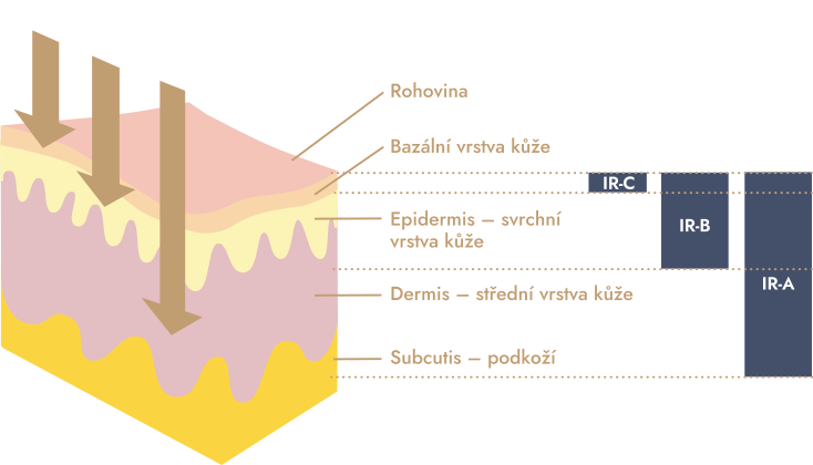 Bez názvu Bez názvu
